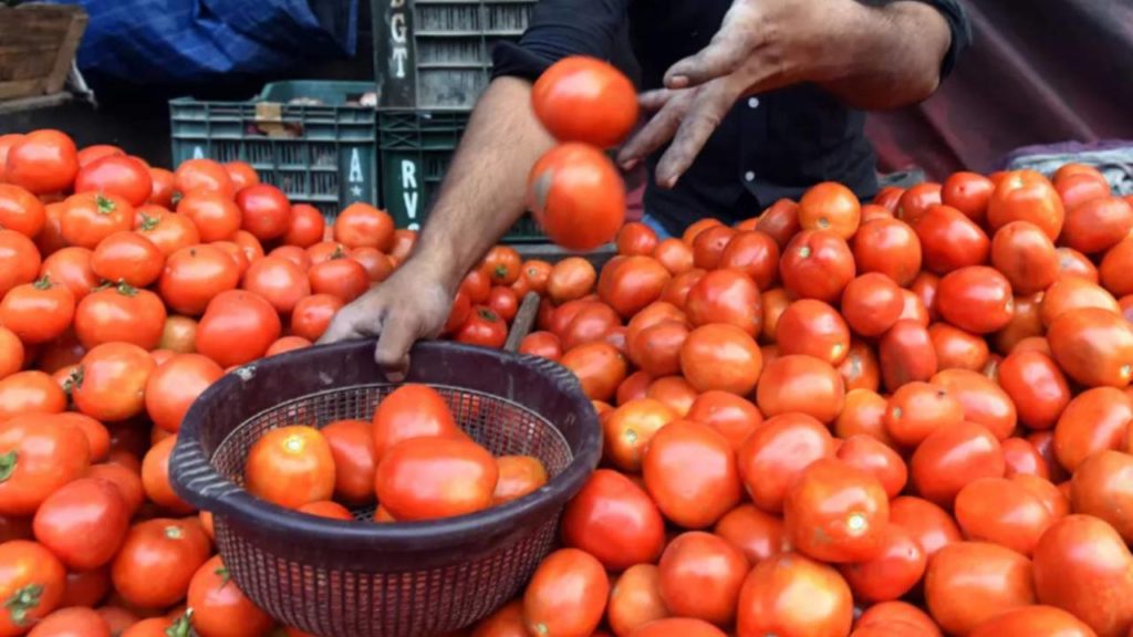 Central Discounted Govt Tomato Sale