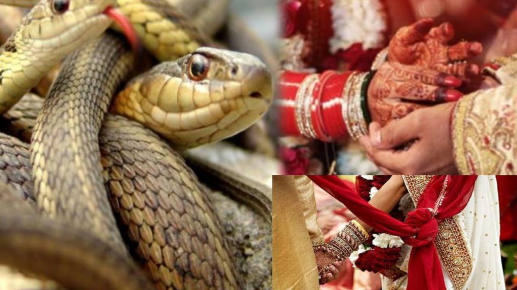 Sanwara tribe snakes Dowry