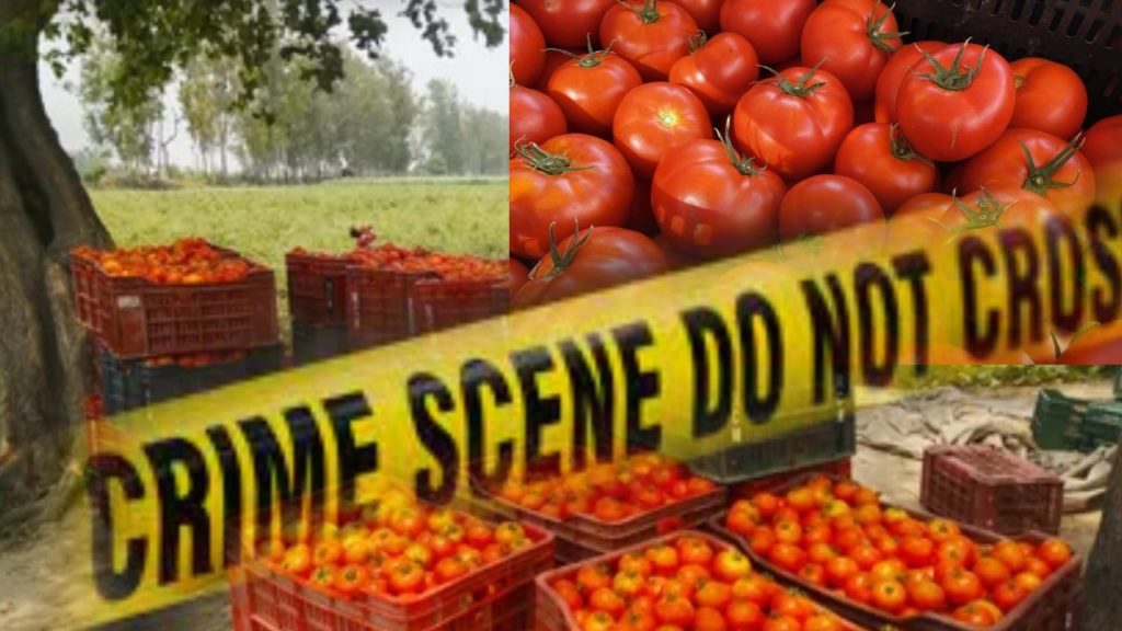 Tomato farmer assassinate In Andhra Pradesh