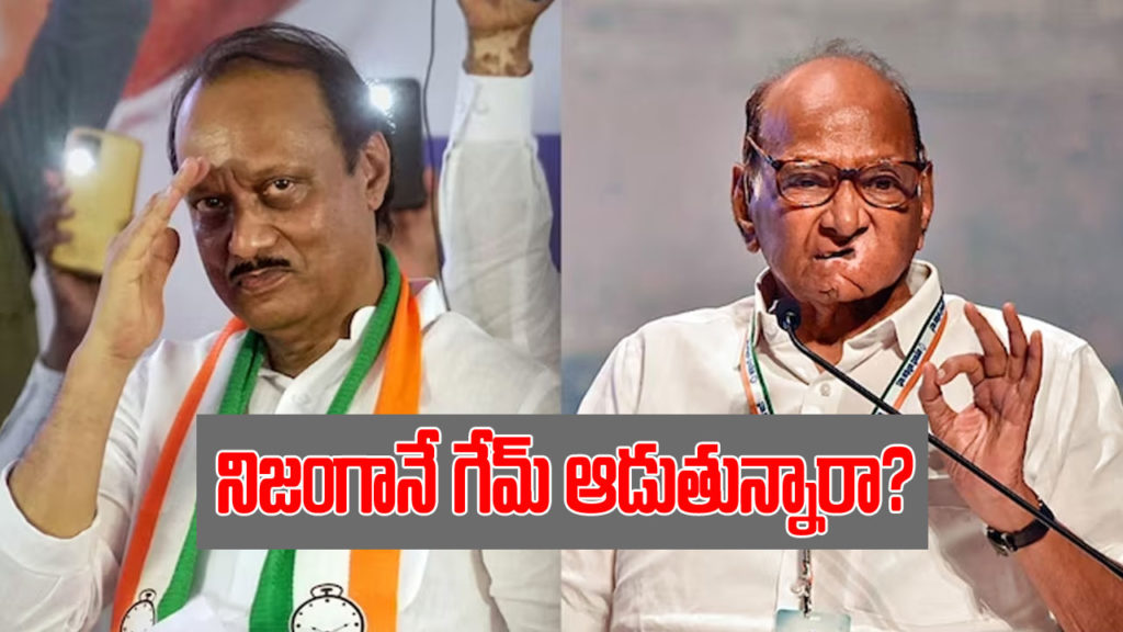 Sharad Pawar To Share Stage With Ajit Pawar at pm modi event