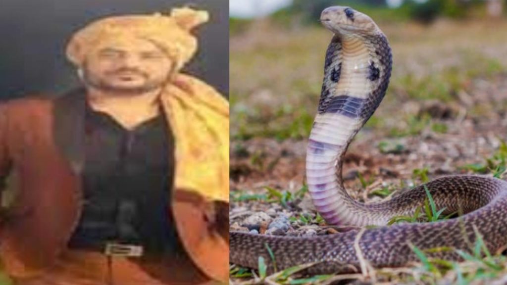 Uttarakhand woman boy friend snake bit