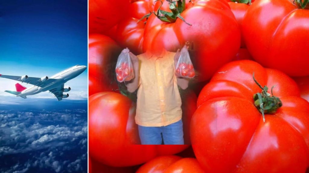 travel agency offers free book flight tickets tomatoes