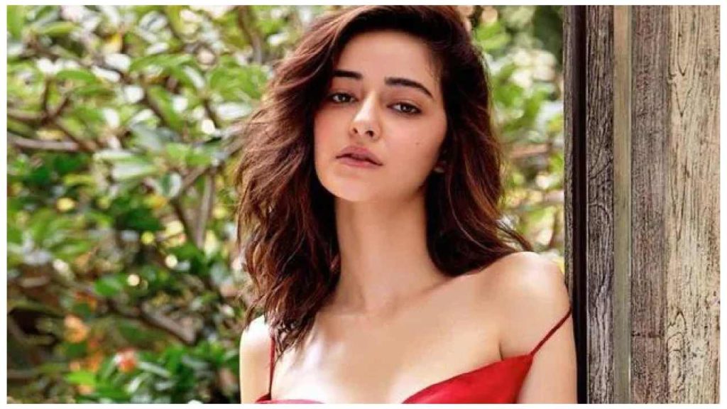 Ananya Panday father gave clarity on her relation with Aditya Roy Kapur