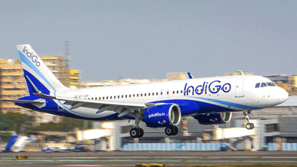Indigo Flight Services