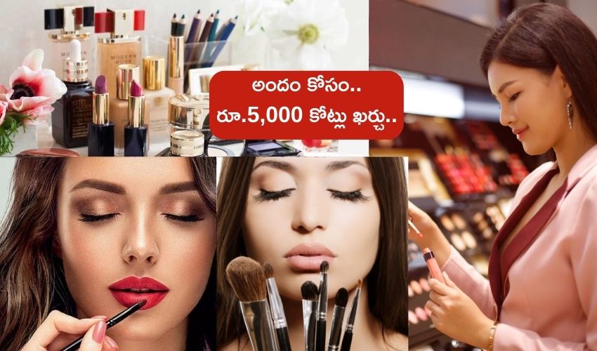 Indian womans purchases of cosmetics