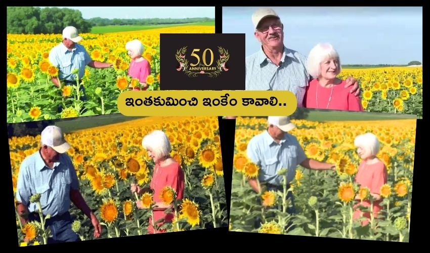 Man 12 lakh sunflower gift to wife