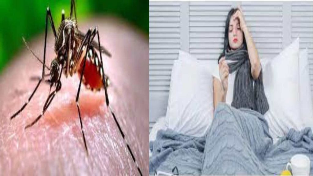 dengue fever