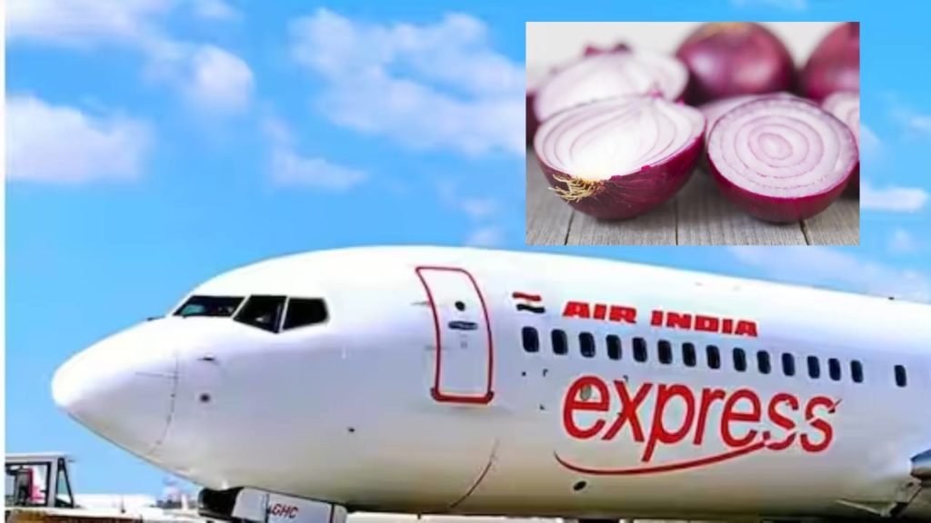 Onions Smelly In Air India Flight