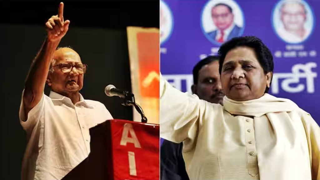 sharad pawar made big statement on mayawati after her clarifies solo fight