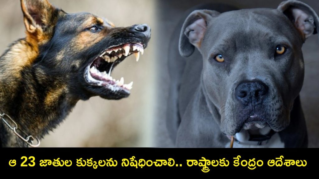 Centre Asks States To Ban 23 Breeds Of Ferocious Dogs _ Check List