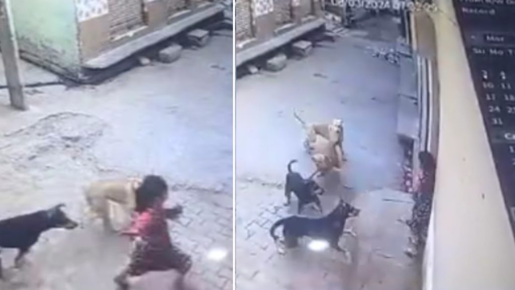 Dogs Attacked Girl