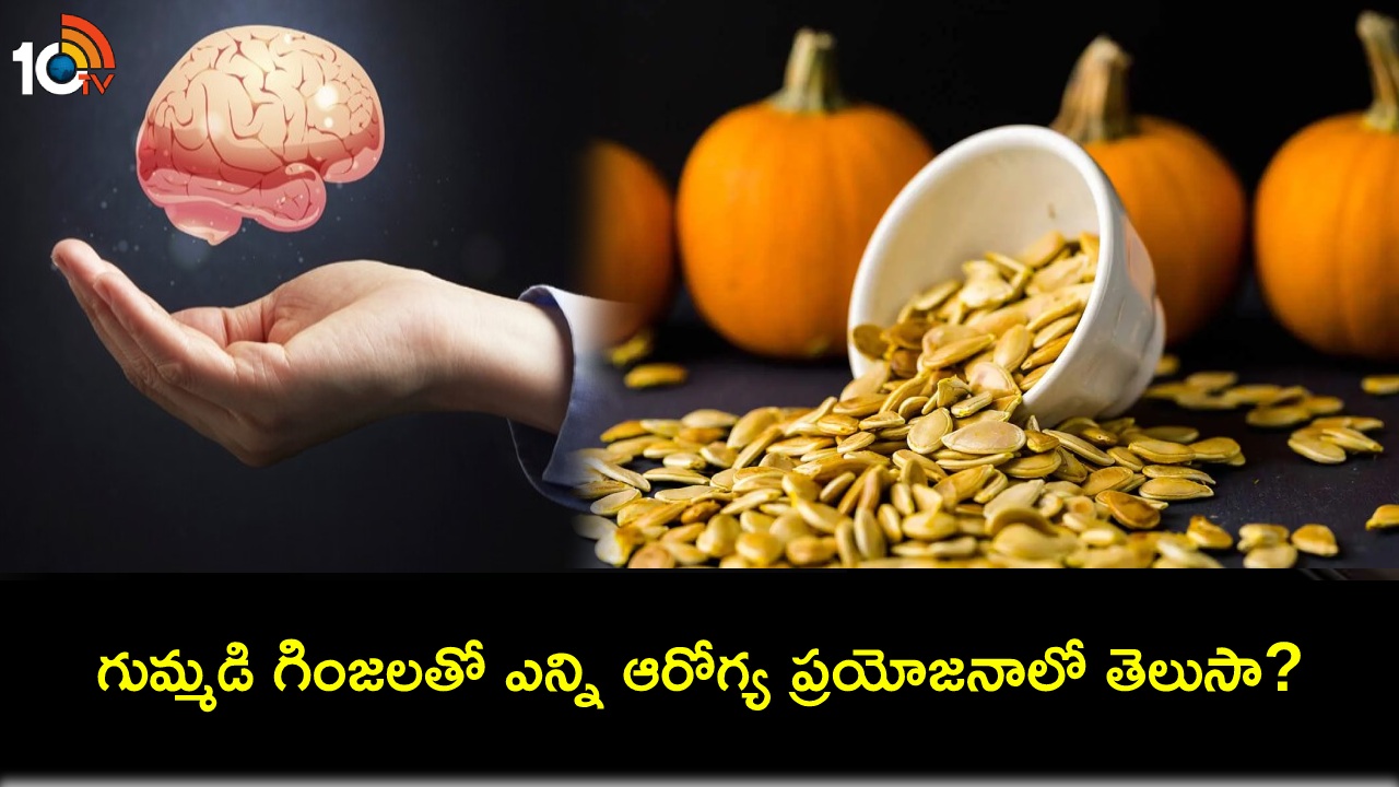 Pumpkin Seeds Benefits గుమ్మడి గింజలతో అద్భుతమైన ప్రయోజనాలు.. మెదడు