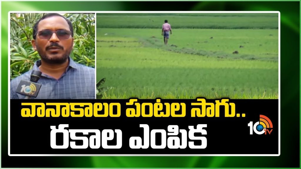 Cultivation of Monsoon Crops