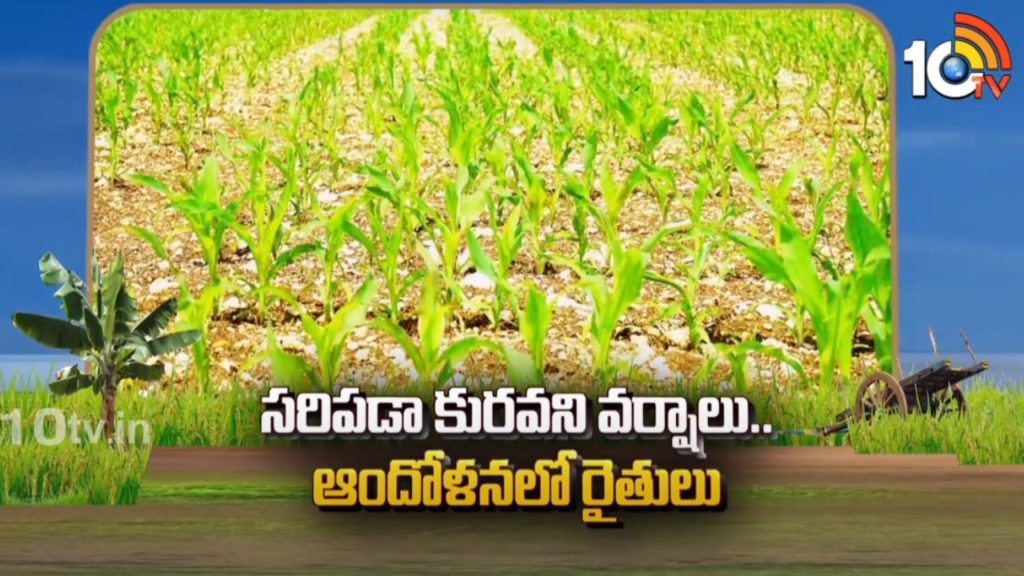 farmers suffering from rain for cultivation in telugu