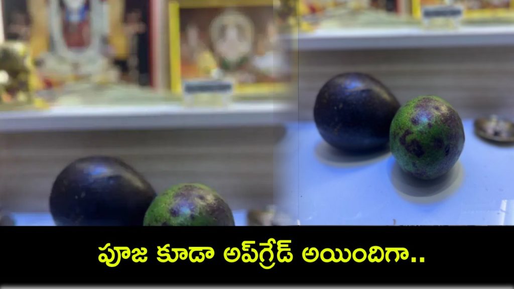 Bengaluru Man On Parents Using Avocados For Puja