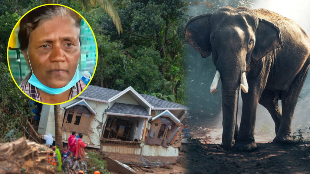 Wayanad landslide survivors urged elephant to spare who wept for them