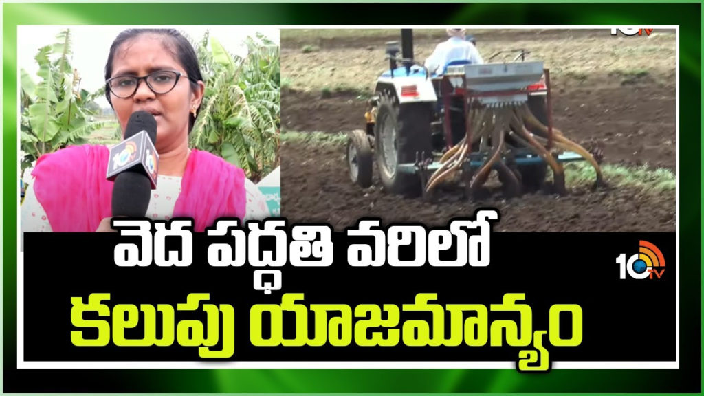 Weed Management and techniques in Paddy crop