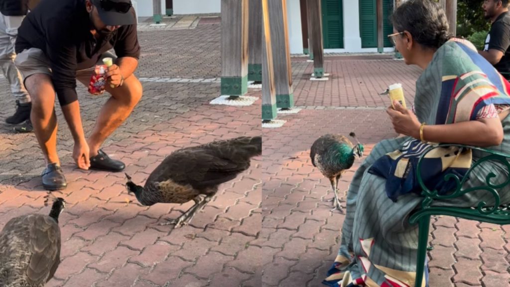 Tharun Bhascker and his Mother Geetha Bhascker Enjoying Vacation With Peacocks